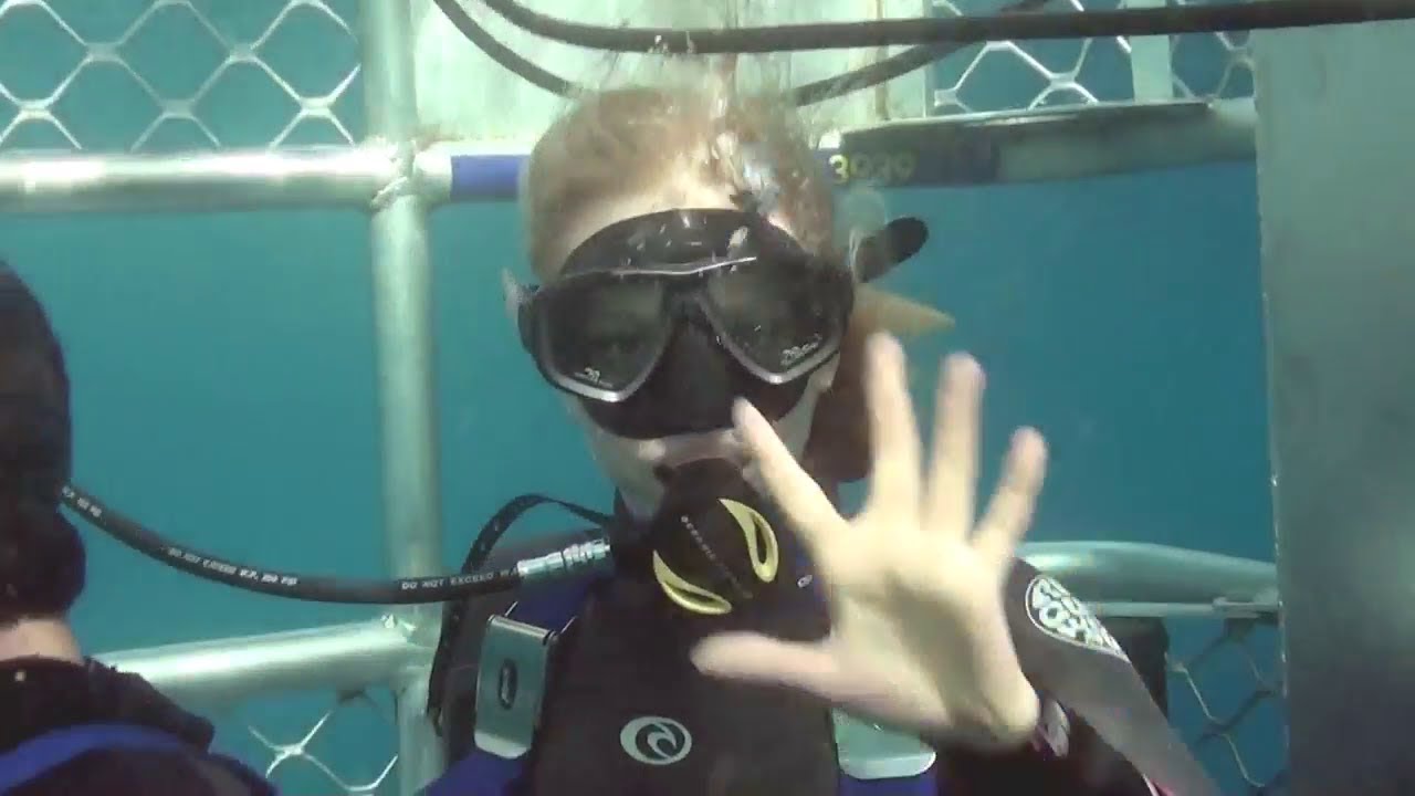 Cage Diving with a Great White Shark Goes Wrong! Sharing Clips